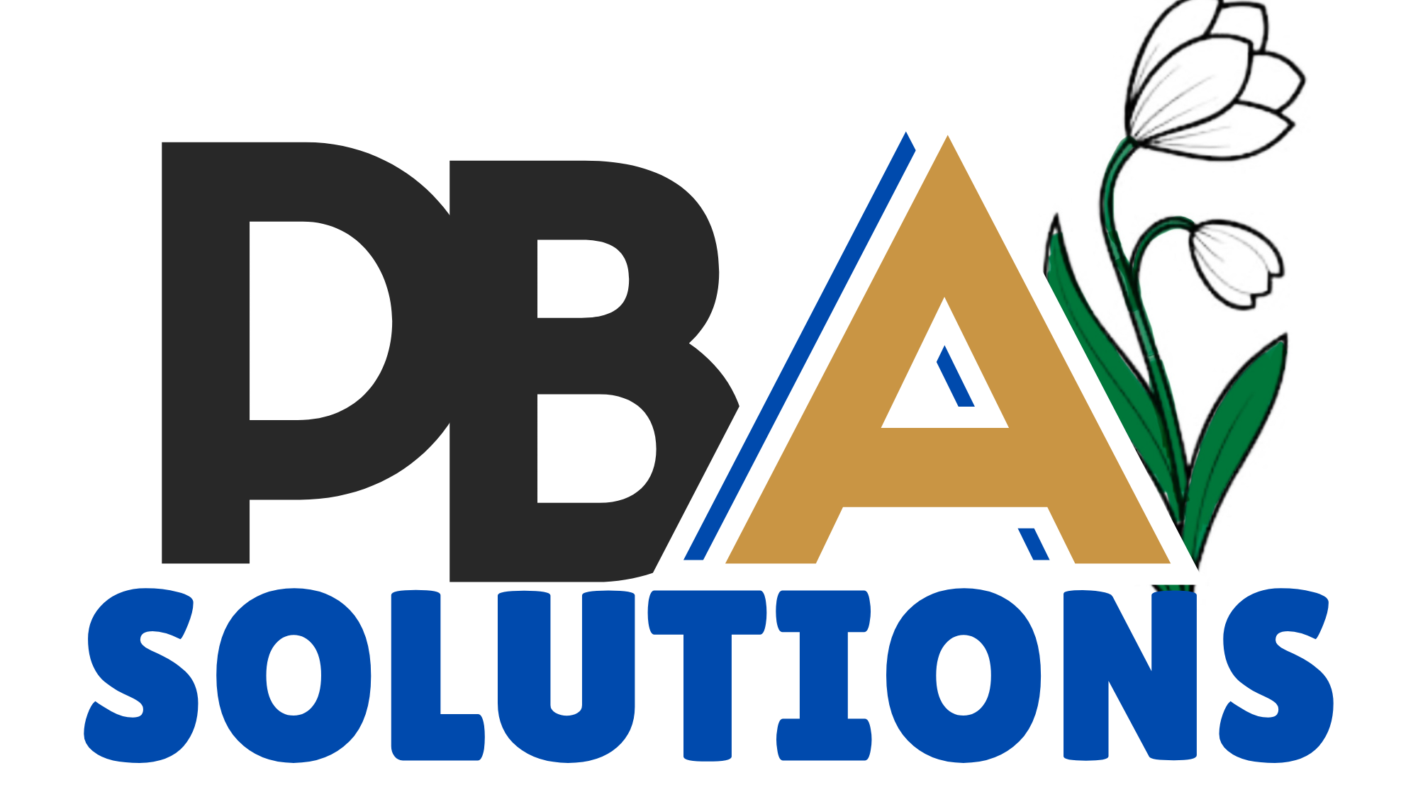 PBA Solutions, LLC